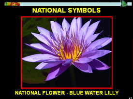 National Symbol Flower